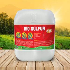 BIO SULFUR 2 TRONG 1