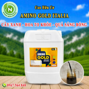 AMINO-GOLD