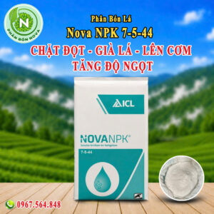 NPK 7-5-44